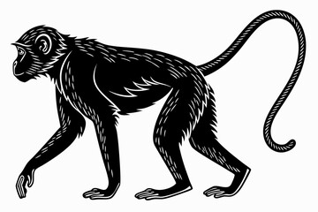 monkey sihouette black vector