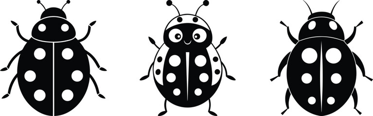 ladybug black and white vector set art and illustration