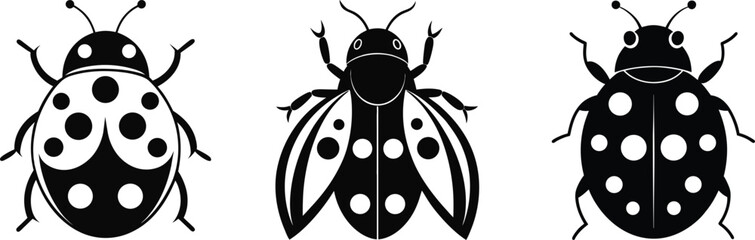 ladybug black and white vector set art and illustration