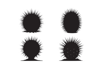 Round Cactus Silhouette Vector Set Spiky Desert Plant Clipart Design
