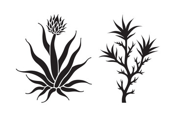 Aloe Vera Desert Plant Silhouettes