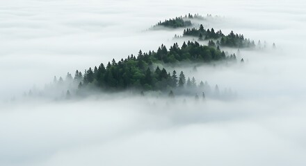 Forest Islands Emerging From Dense White Fog in Serene Mountain Landscape