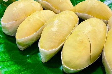Several pieces of fresh ripe durian are neatly arranged on a green banana leaf. Each piece of durian is carefully wrapped on the bottom with white wax paper. The best Thai fruit.