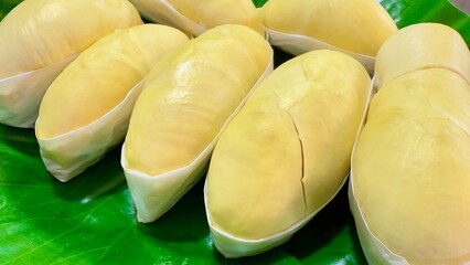 Several pieces of fresh ripe durian are neatly arranged on a green banana leaf. Each piece of durian is carefully wrapped on the bottom with white wax paper. The best Thai fruit.