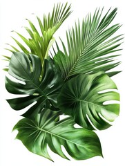 Fototapeta premium Lush green tropical foliage arrangement with monstera, palm, and banana leaves isolated on white background.