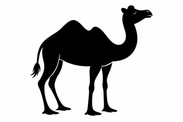 camel sihouette black vector