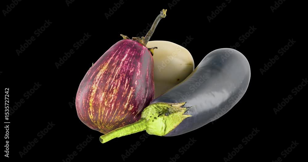 Poster eggplants set. classic, white eggplant and graffiti eggplants. rotation animation, seamlessly loopab