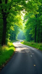 Fototapeta premium Serene winding road through lush green countryside, sunlight dappling through leaves, perfect for travel and nature themes , vibrant, rural
