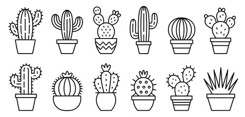 Twelve Line Art Cactus and Succulent Potted Plants