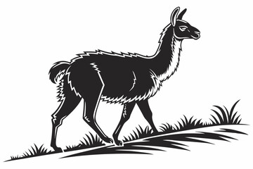 Fototapeta premium llama sihouette black vector