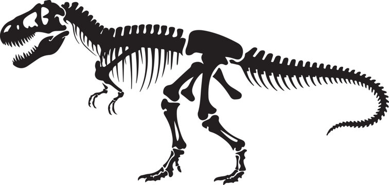 dinosaur skeleton illustration with detailed t rex fossil bones isolated on white paleontology artwork