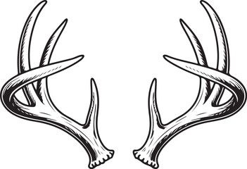 Obraz premium antler deer horn hunting trophy wild animal head black silhouette vector isolated illustration