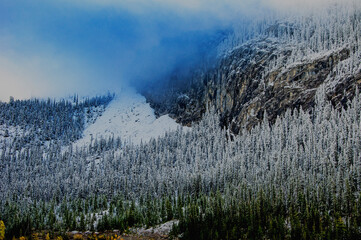 Grassy Lake. Alberta. Canada. Lake in the Rocky Mountains. Famous tourist routes.