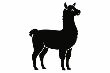 alpaca sihouette black vector