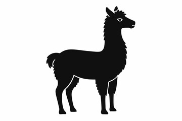 alpaca sihouette black vector