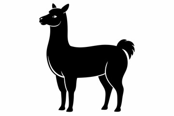 alpaca sihouette black vector