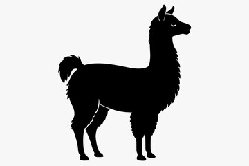 alpaca sihouette black vector