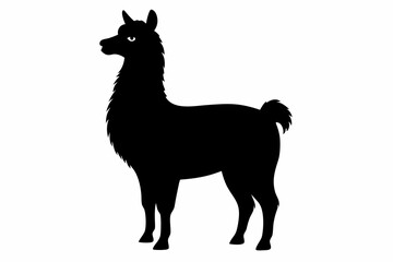 alpaca sihouette black vector
