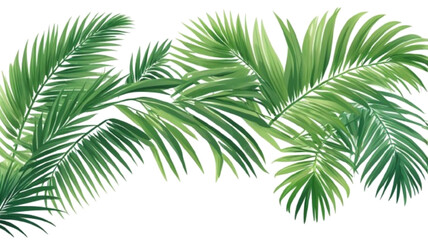 Green Palm Branch Isolated And White Background With Gradient Mesh, Vector Illustration
