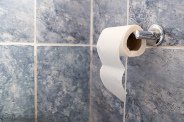 a white roll of toilet paper on the bathroom wall