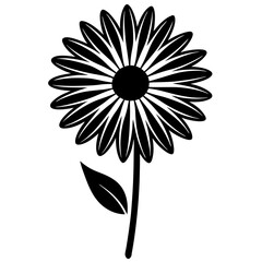 white flower on black background