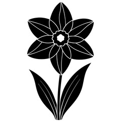 black and white flower isolated
