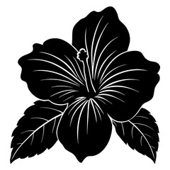 black and white flowers