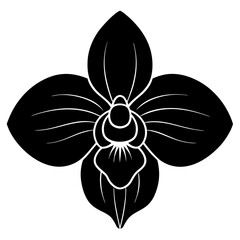 black and white flower