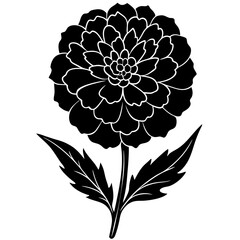 black and white flower