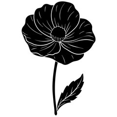 poppy flower vector illustration