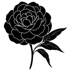 vector drawing of a flower