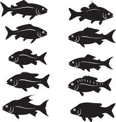 various fish vector design eye catching posture