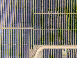 Aerial view of a solar power plant near travers Alberta. This facility is the largest in Canada and one of the largest in the world