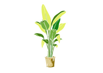 バナナの木のパームツリーのイラストパーム