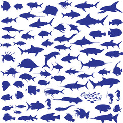 various fish vector design eye catching posture