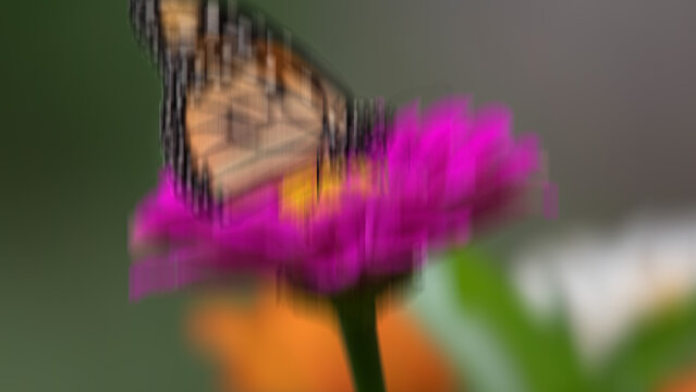 Bass Shake Horizontal Motion Effect MOGRT 528