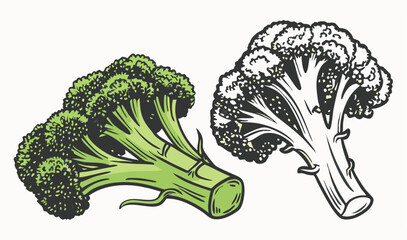 Broccoli florets illustration, green and line art