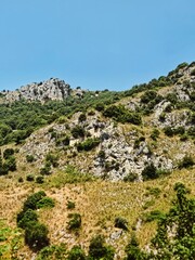 Scatti e Registrazioni Varie