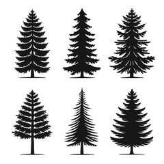 Obraz premium Vector illustration of various black silhouettes of evergreen pine trees on a white background