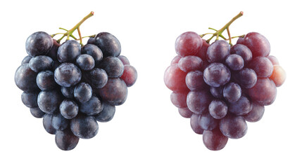 Fototapeta premium Set Collection of Two Different Wine Grapes on White Background – Fresh Grape Varieties for Vineyard, Beverage Design, and Culinary Concepts
