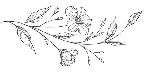 flower and leaves drawing. Vector hand drawn engraved floral card. Botanical, branch and flower Black ink sketch. Great for tattoo, invitations, greeting cards, decor © sense