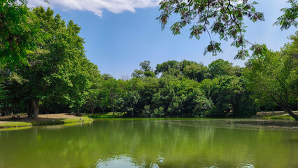 Fototapeta premium Tranquility by the water: a picturesque view of a cozy lake away from people, relaxation