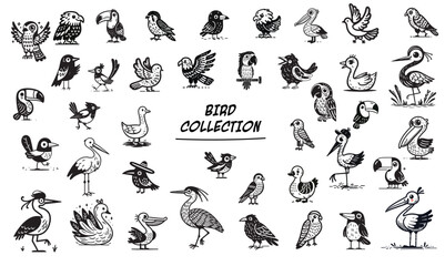 Huge collection of black line doodle birds, set of the birds hand drawn style