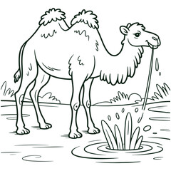 Two Camels in Desert Landscape Coloring Page Black and White Line Art Illustration