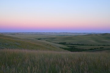 A field of grass