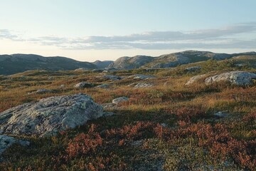 Fototapeta premium A field of grass and rocks with a sky background
