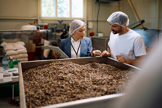 Quality control inspector and worker grading quality of sunflower seeds in factory.