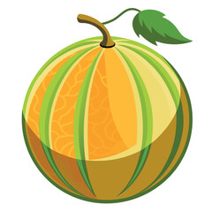 Vibrant, Detailed Illustration of a Cantaloupe Melon with Green Stripes and a Fresh Leaf Attached