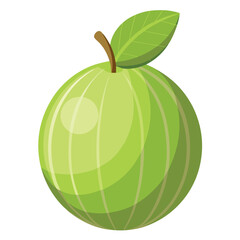Illustrated Green Fruit