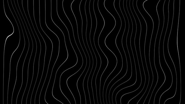 Abstract animation with smooth white vertical lines moving on a black background, creating a wave-like visual effect.